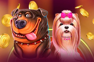 Dog House Megaways Slot Dog House Megaways Slot