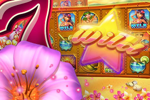 Casino Software Casino Software