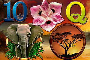 Savanna Moon Savanna Moon